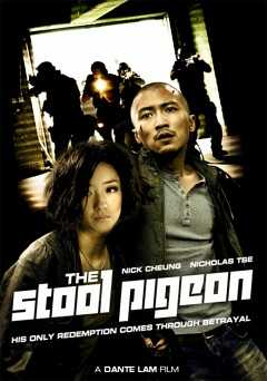 The Stool Pigeon