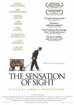 The Sensation of Sight