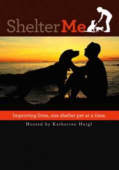 Shelter Me - Movie