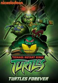 Teenage Mutant Ninja Turtles: Turtles Forever - Movie