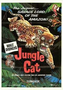 Jungle Cat - vudu
