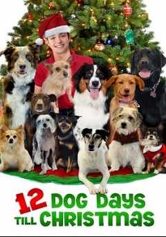 12 Dog Days Till Christmas - vudu
