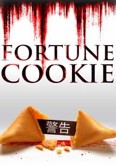 Fortune Cookie - vudu