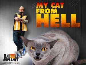 My Cat From Hell - TV Series