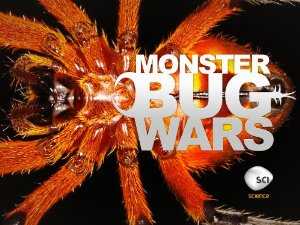 Monster Bug Wars - vudu