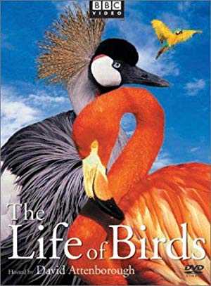The Life of Birds - TV Series