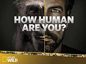How Human Are You?