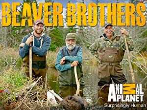 Beaver Brothers - TV Series