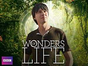 Wonders of Life - TV Series