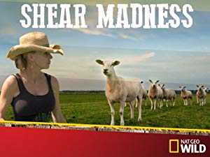 Shear Madness - vudu