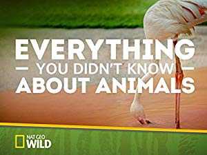 Everything You Didnt Know About Animals - vudu