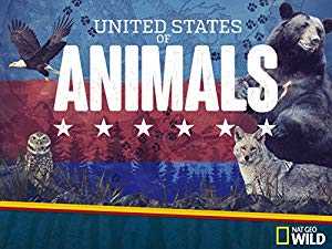 United States of Animals - TV Series