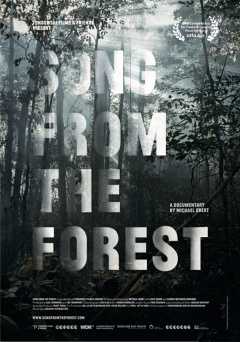 Song from the Forest - hulu plus