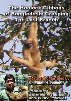 Hooloock Gibbons: Grasping The Last Branch - Movie
