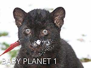 Baby Planet - tubi tv