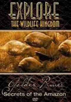 Explore the Wildlife Kingdom: Amazon: Secrets of the Golden River - Movie