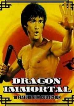 Powerforce / Bruce Lees Ways of Kung Fu - Movie