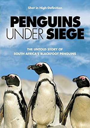 Penguins Under Siege - amazon prime