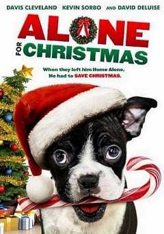 Alone for Christmas - Movie