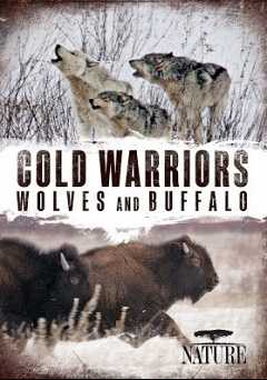 Nature: Cold Warriors: Wolves and Buffalo - Movie