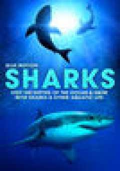 Sharks: Visit the Depths of the Ocean & Swim with Sharks & Other Aquatic Life - amazon prime