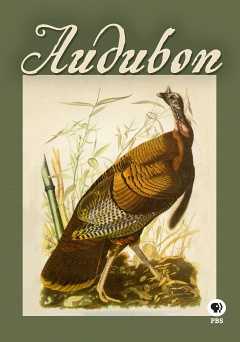 Audubon - amazon prime