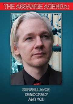 Assange Agenda: Surveillance, Democracy and You - amazon prime