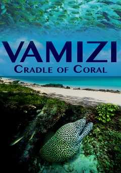 Vamizi Cradle of Coral - Movie