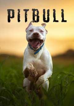 Pitbull - amazon prime