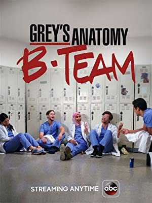 Greys Anatomy: B-Team - hulu plus