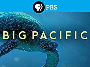 Big Pacific - amazon prime
