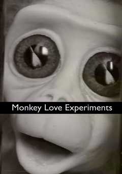 Monkey Love Experiments - Movie