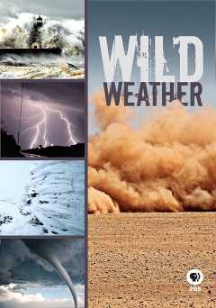 Wild Weather - amazon prime