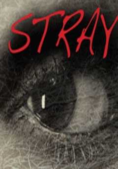 Stray - Movie