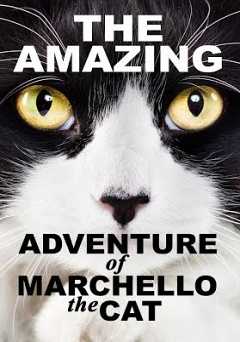 The Amazing Adventure of Marchello the Cat - amazon prime