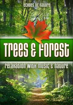 Trees & Forest: Echoes of Nature Relaxation with Music & Nature - amazon prime