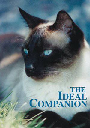 The Ideal Companion - Amazon Prime