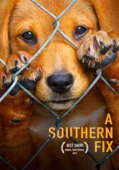 A Southern Fix - Movie