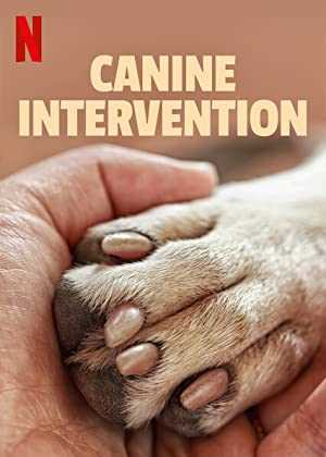 Canine Intervention - netflix