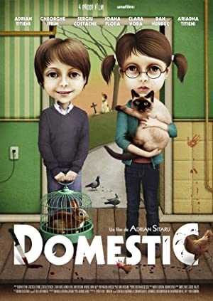 Domestic - Movie