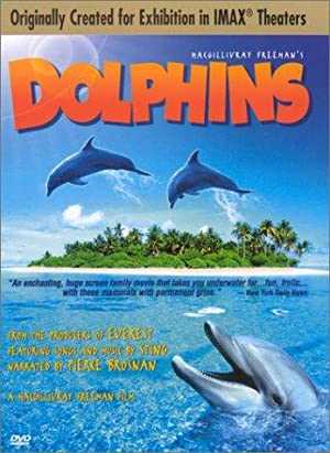 Dolphins - netflix