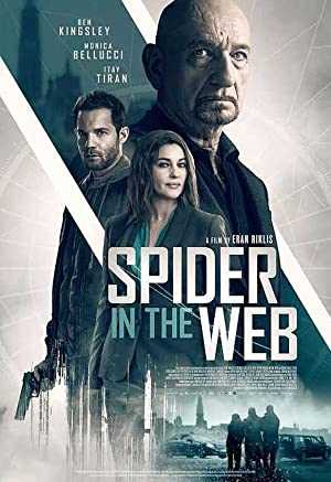 Spider in the Web - netflix