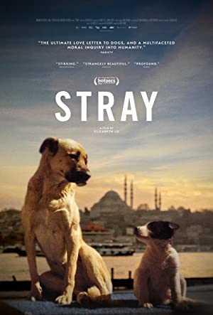 Stray - Movie