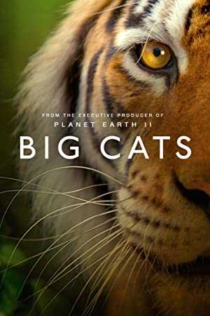 Big Cats - Movie
