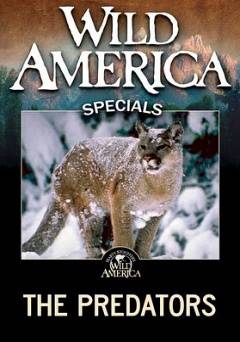 Wild America Specials: The Predators - Amazon Prime