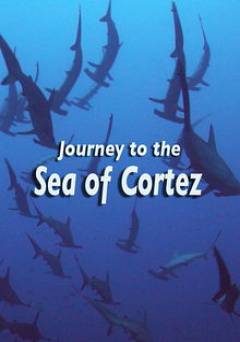 Journey to the Sea of Cortez - Movie