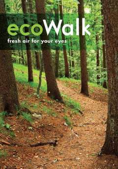 Eco Walk - Movie