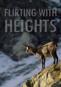Flirting With Heights - Movie
