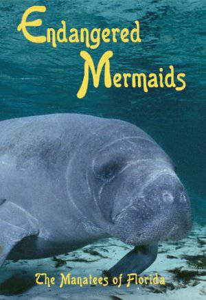Endangered Mermaids: The Manatees of Florida - Movie