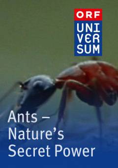 Ants - Natures Secret Power - Amazon Prime